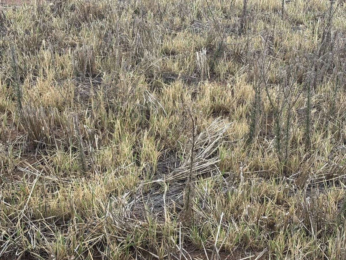 Martin Murray tweet media