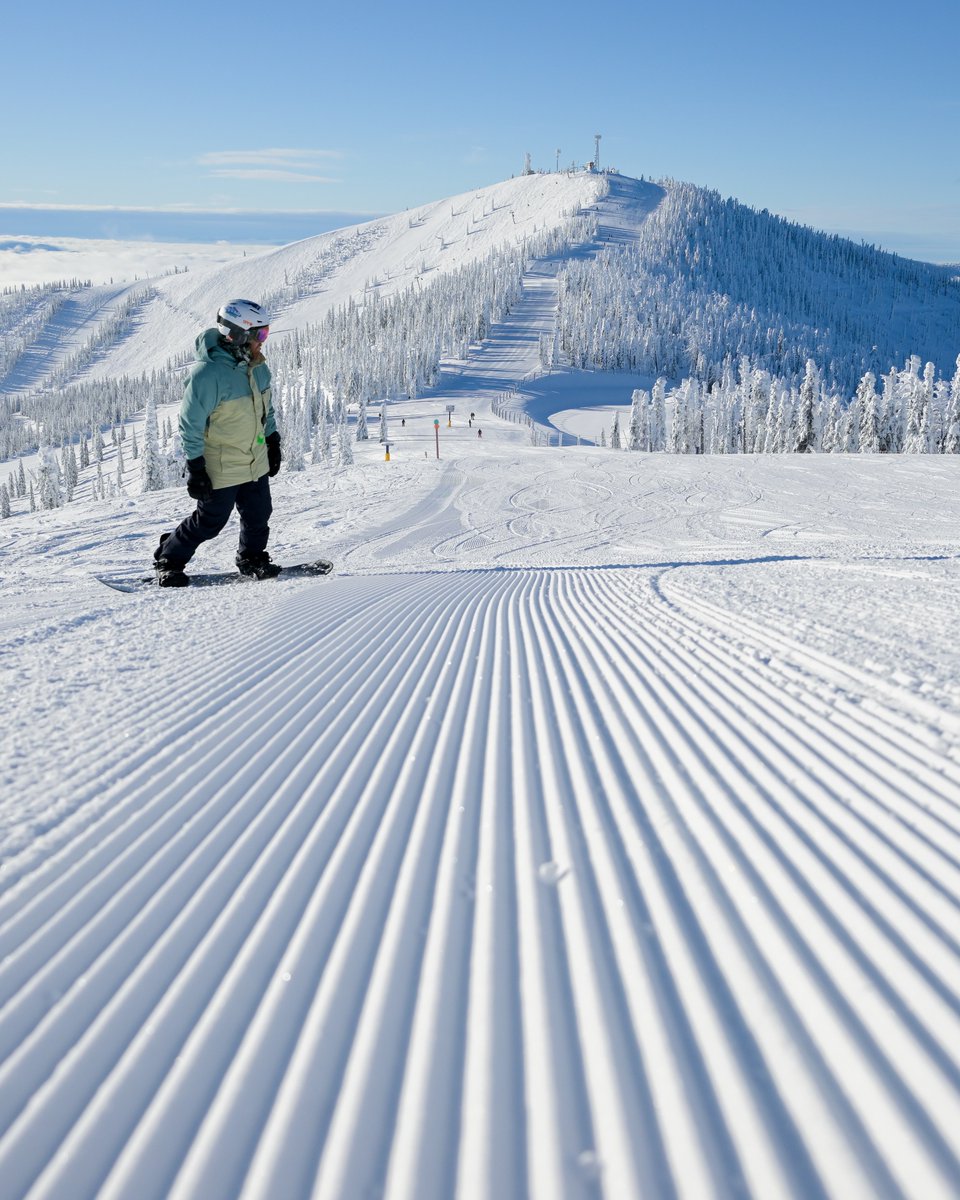 SchweitzerID's tweet photo. Current conditions on the mountain 🏔️ 

Season Snowfall Total - 166"
Summit Depth - 86"
Village Depth - 65"
Season Stoke Level - 💯 

How many days do you have so far this season?

#schweitzerlife https://t.co/dyI19EUqcx