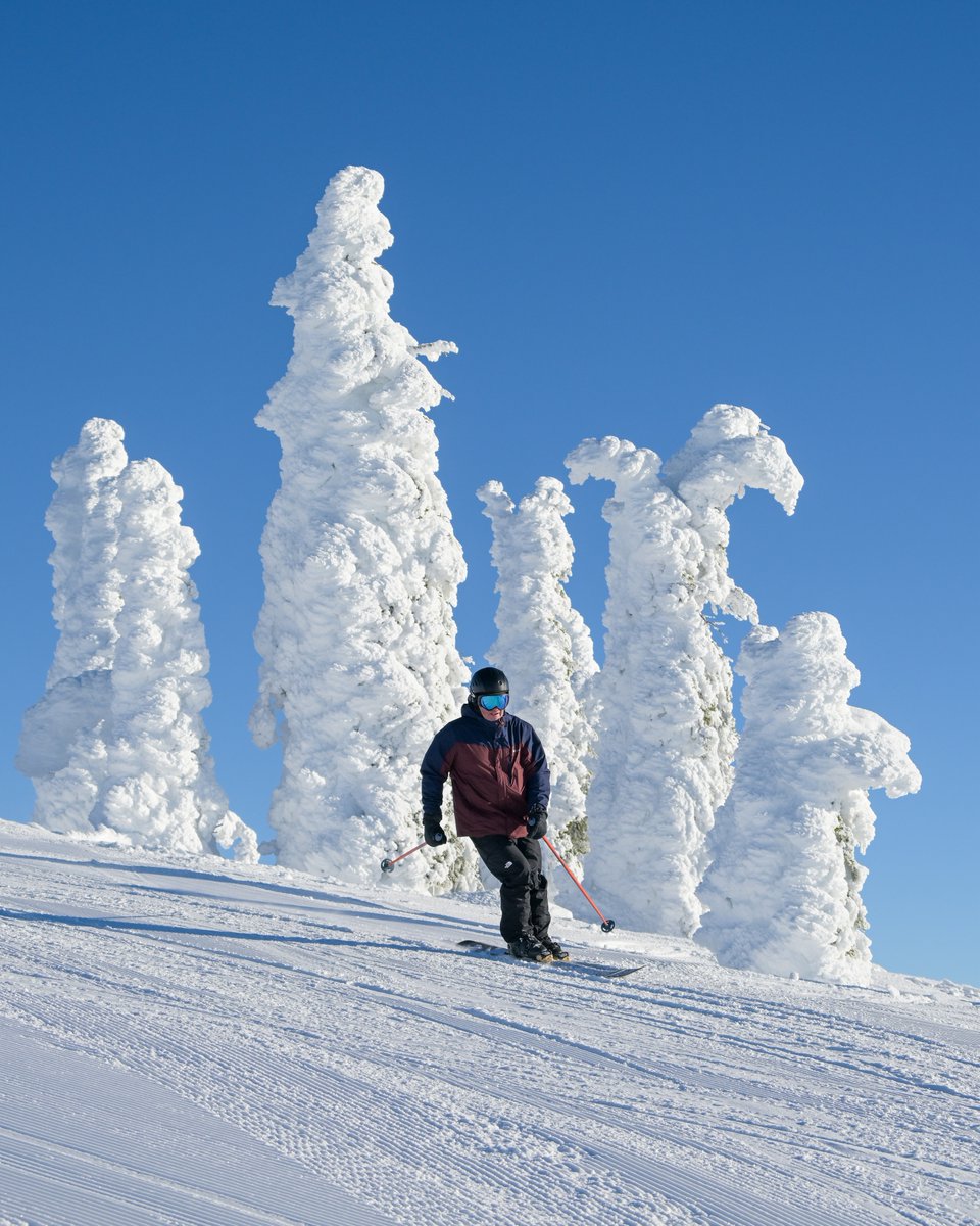 SchweitzerID's tweet photo. Current conditions on the mountain 🏔️ 

Season Snowfall Total - 166"
Summit Depth - 86"
Village Depth - 65"
Season Stoke Level - 💯 

How many days do you have so far this season?

#schweitzerlife https://t.co/dyI19EUqcx