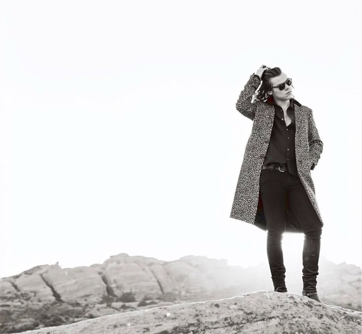 acervo hstan tweet media