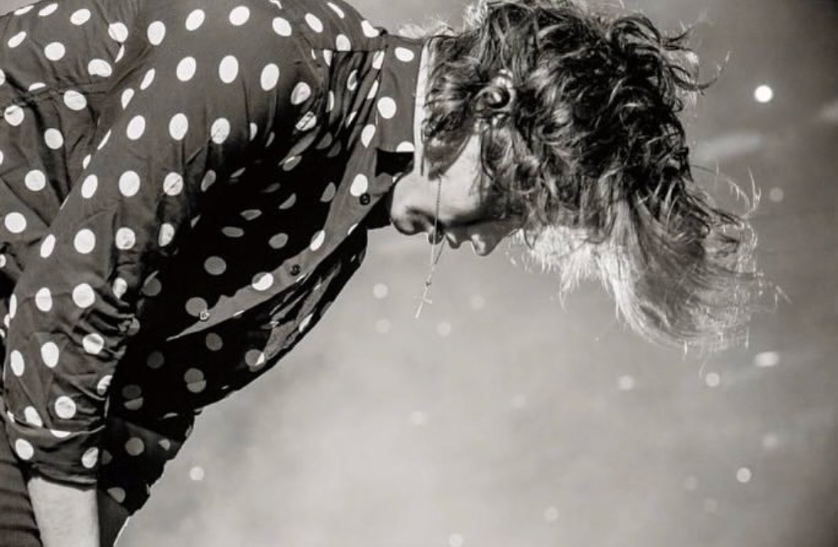 acervo hstan tweet media