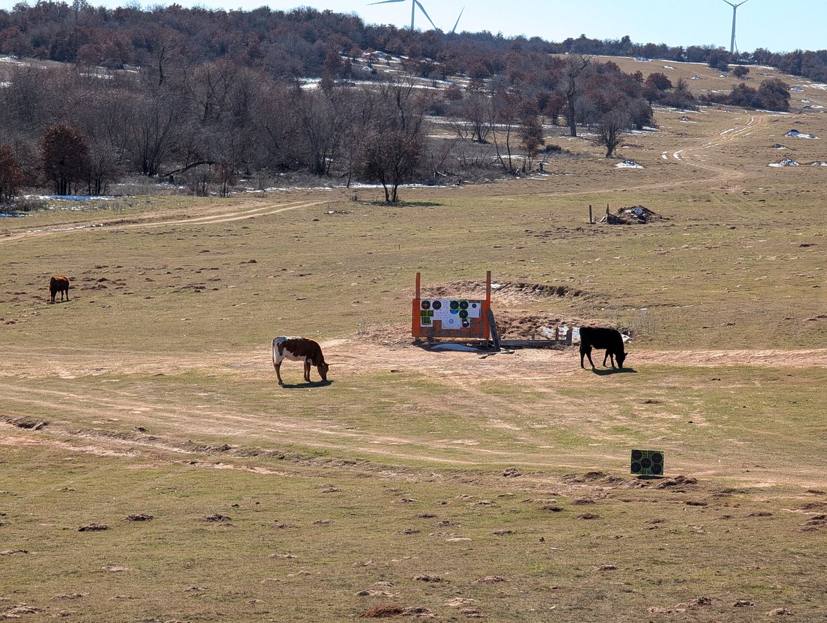 rockchalk06's tweet image. Range is cold....

#OklahomaPew #FouledBore #7PRC #BergaraRifles #CowProblems