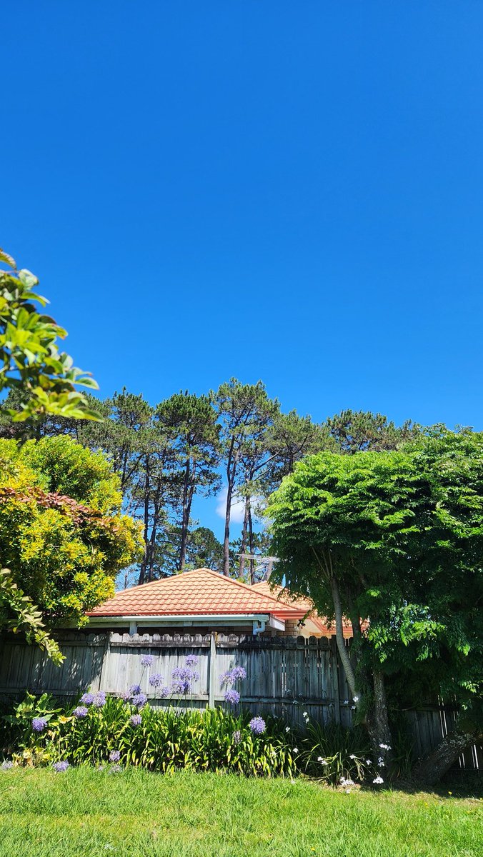 GM, what a beautiful morning.
I am so grateful.