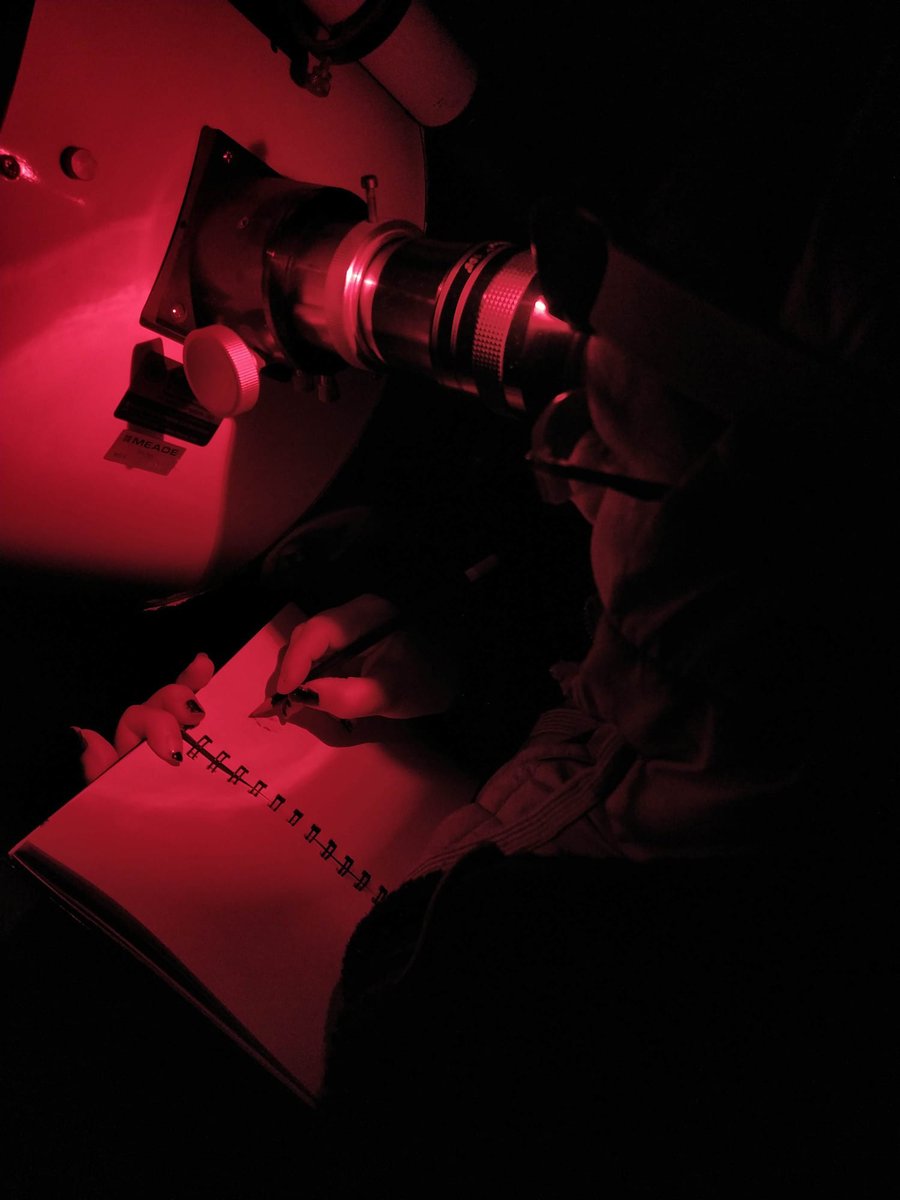 Leonor Ana Hernandez tweet media