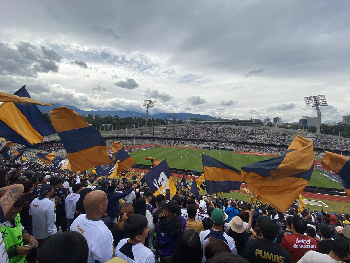 Xavier Smith tweet media