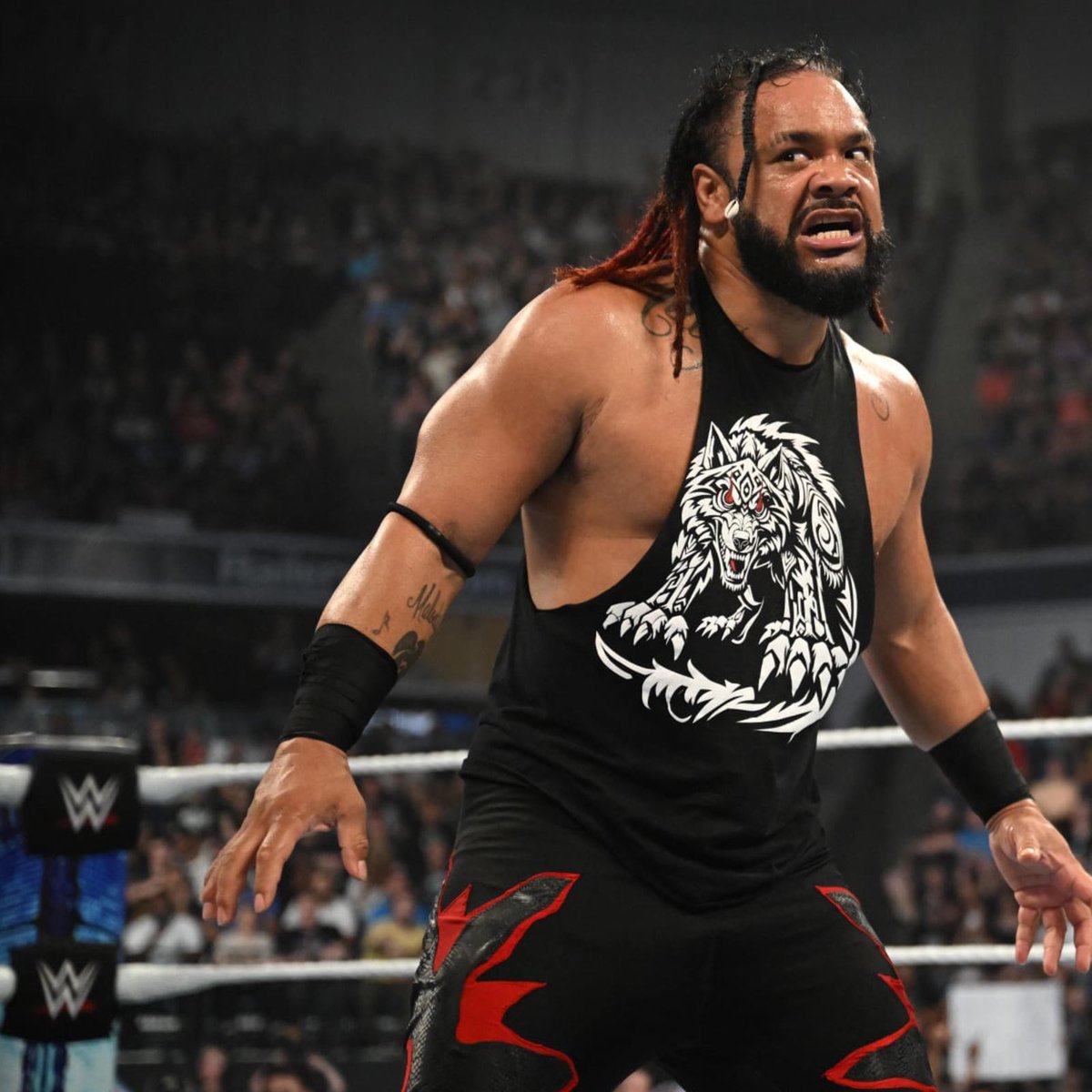 SullivanBooks's tweet photo. We’re all expecting Jacob Fatu to get the “Diesel Spot” in this year’s Royal Rumble Match, right? #WWE https://t.co/TlntupUxae