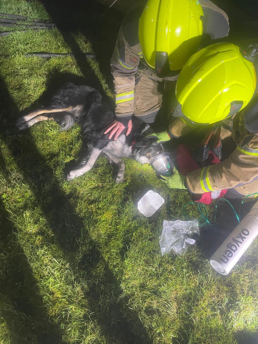 Crews from Anglesea St dealt with a well developed house fire over the weekend and rescued a dog. 

Oxygen was administered using our canine resuscitation kit, and thankfully the dog recovered. 

Breathing Apparatus teams fought hard to contain the fire. No serious injuries.