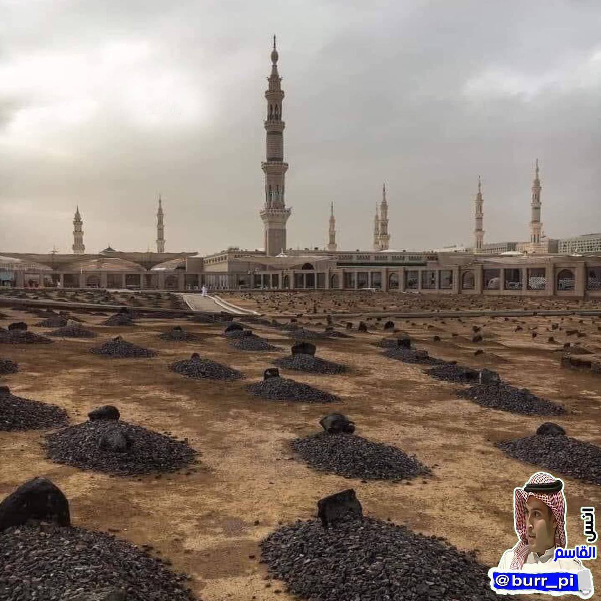 هنا يرقد المبشرون بالجنة 🕊️.. في مقبرة بقيع الغرقد بالمدينة المنورة، مدينة الحبيب محمد ﷺ ❤️.. #أنس_القاسم