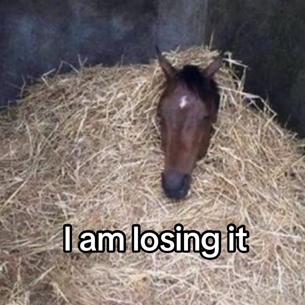 🕐HOURLY🕑 shitpost (@hourly_shitpost) on Twitter photo 