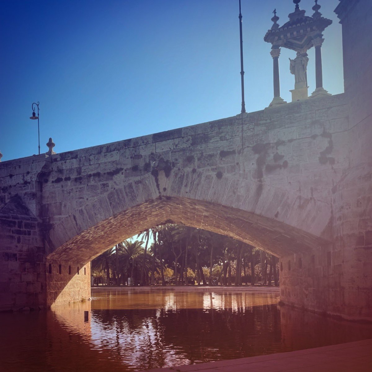 rodrakic's tweet photo. Photo dump from my walk around Valencia, Spain this week. Sure was nice to find a sunny spot. ππͺπΈ
#nonrev #nonrevadventures #travel #valencia #valenciagram #spain #spaintrip https://t.co/o1wk0D3U24