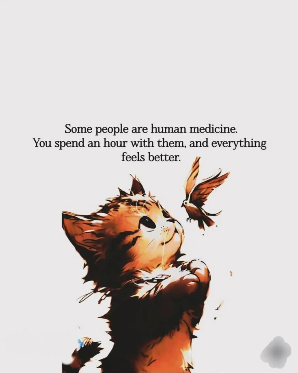 Mind Essentials (@mind_essentials) on Twitter photo 