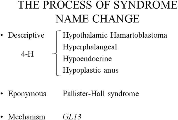 WalidoNeuroPedia tweet media