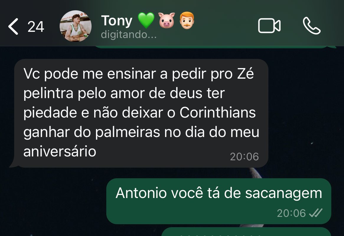 Ane Ferreira ✠ tweet media