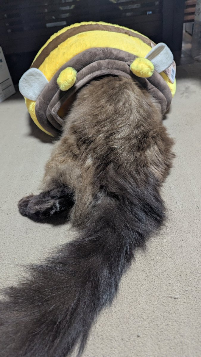 途中で力尽きた…。