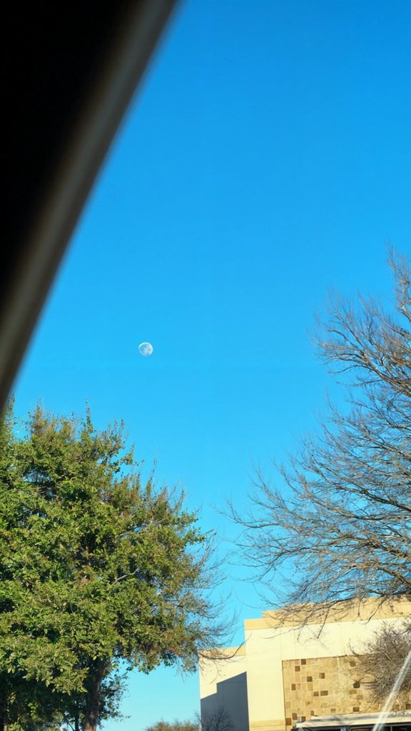 ___F5M___'s tweet photo. Sunny day . https://t.co/iSHi7Ftt5t