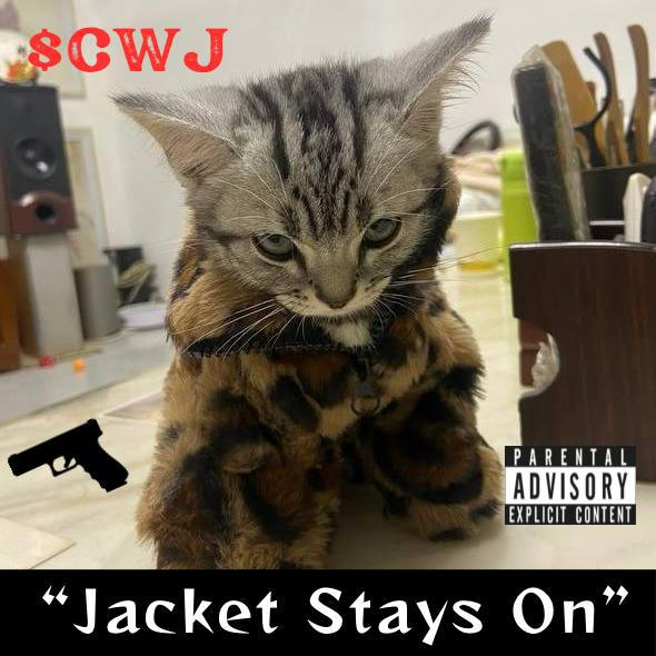 FrontrunGod's tweet photo. @xsdavee I give you $CWJ here at 144k MCAP!!

Even more aura than $billy

@CatWifJacketCTO https://t.co/y5fDQ0OOCL