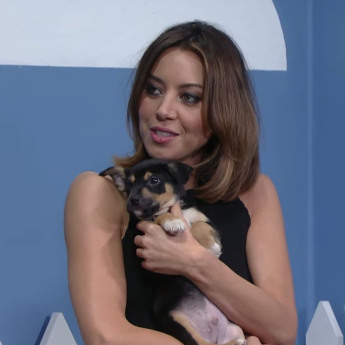 rosenkav_'s tweet photo. Anyway here’s Aubrey holding puppies for your tl https://t.co/M75iQnj7eH