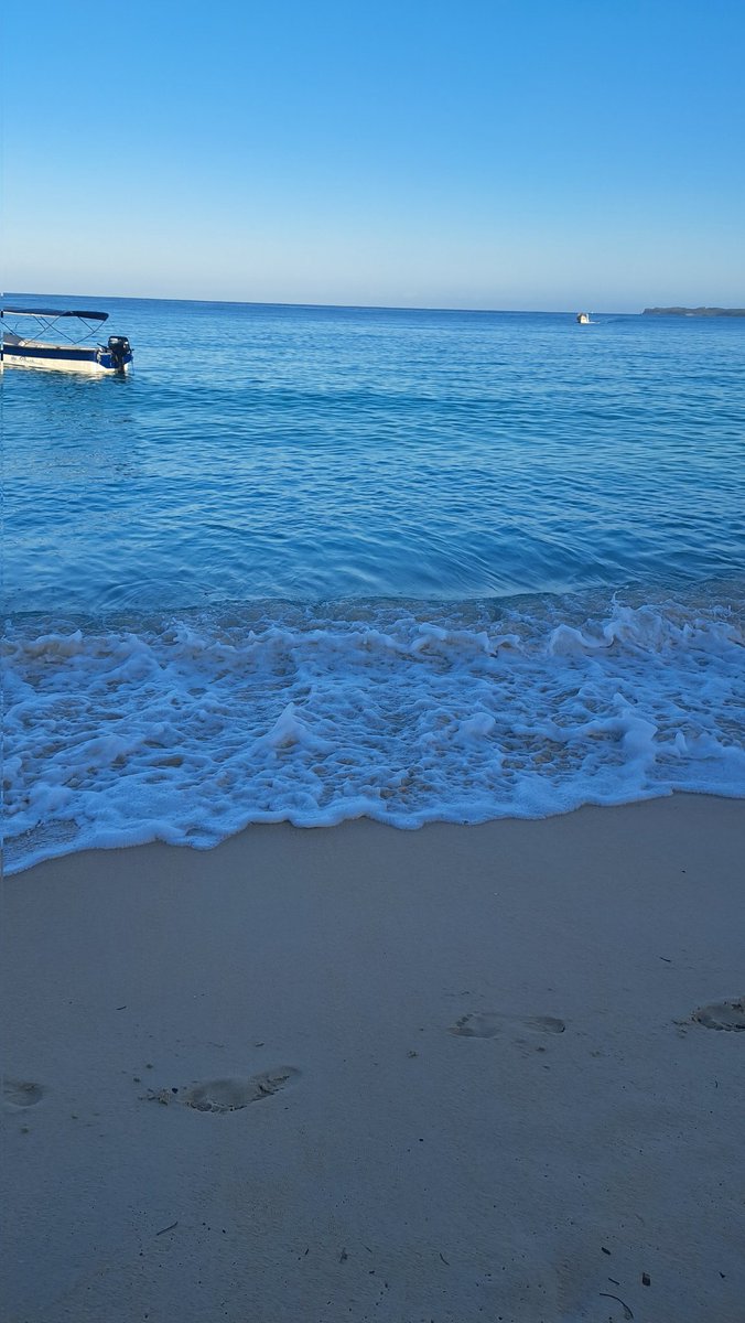 melanieonoro's tweet photo. Playita lugar feliz 🪸 https://t.co/40zt2SoroX