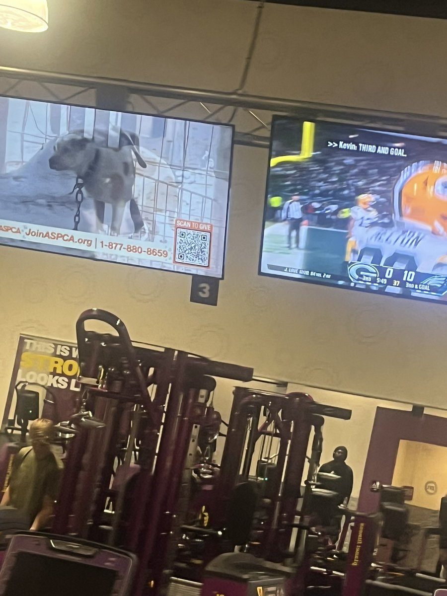 Heiderroo's tweet photo. What should I watch?  Both screens are sad #aspca #PackersvsEagles https://t.co/OtYavQ2ApR