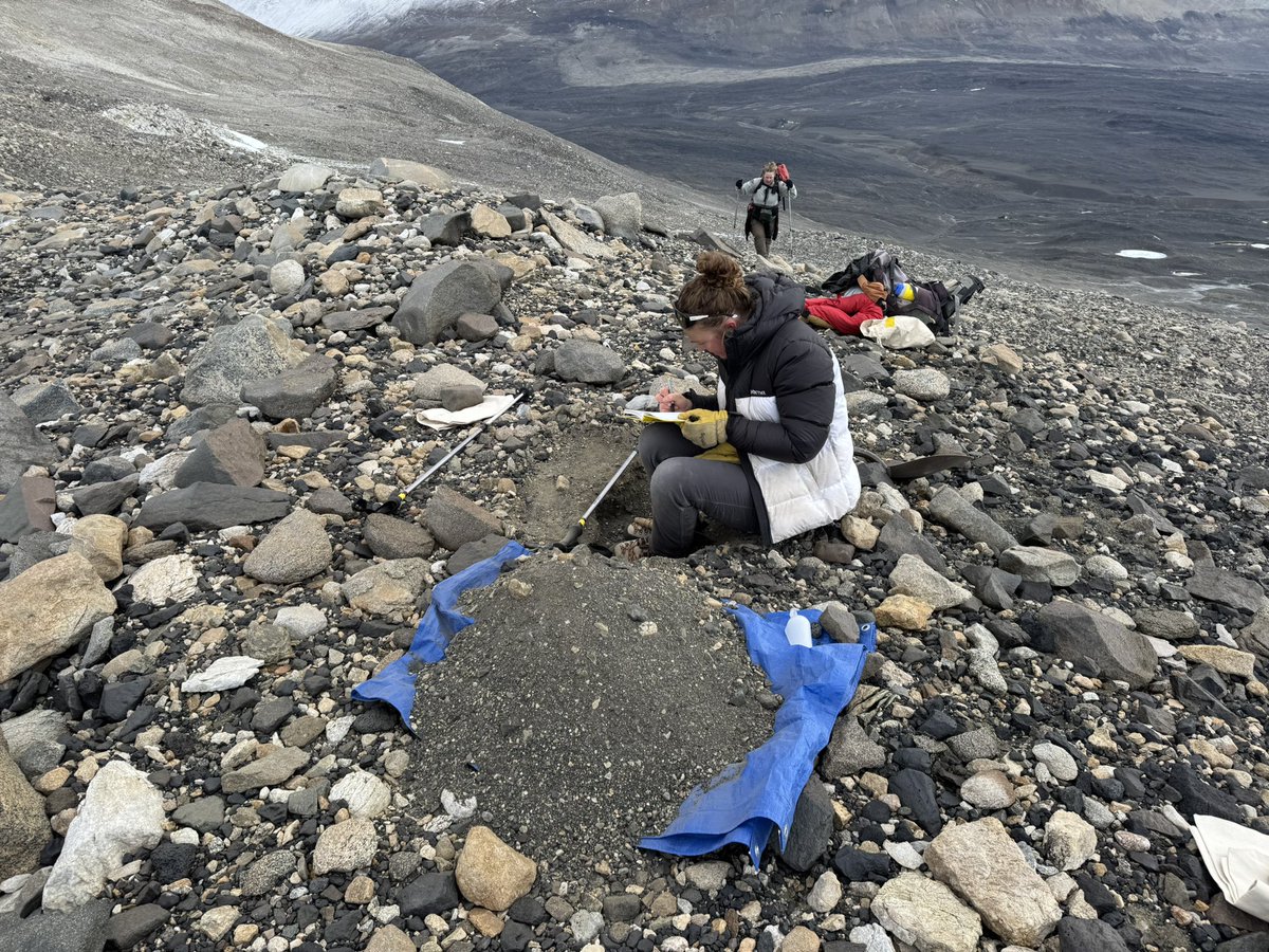 Dan Morgan tweet media