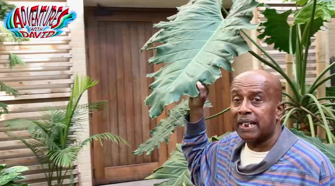 David Liebe Hart tweet media