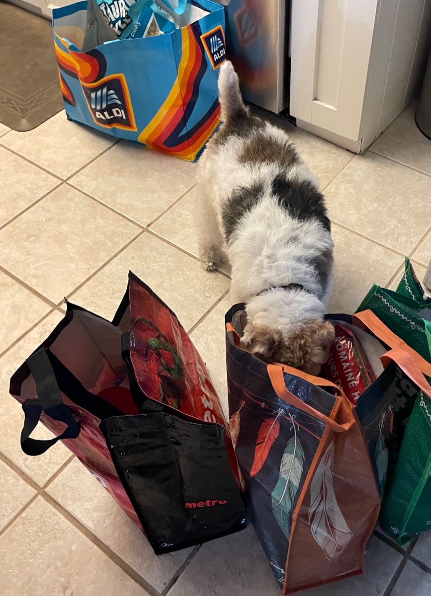Happy Sunday pals! I’m the grocery inspector.