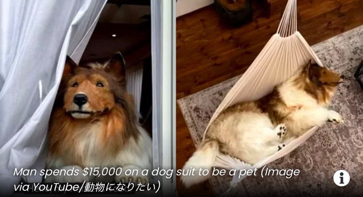 TOCO トコ 🐶 $TOCO tweet media