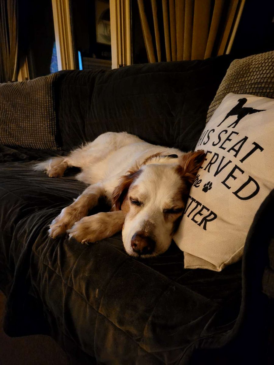 Caitlin Place tweet media