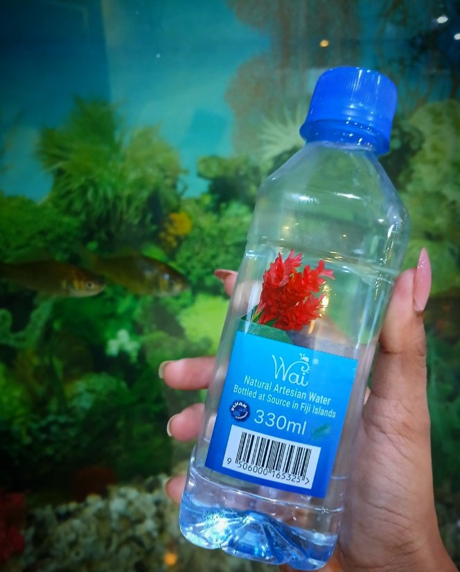 Beat the heat with a refreshing sip of Wai!☀️

#WaiFiji #TeamFiji #Fiji