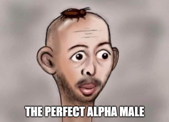 HanShawnity's tweet image. Is this what an alpha male looks like?
