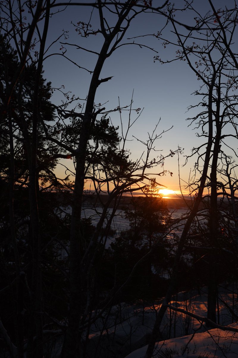 Trails in the snow

#sunset #settingsun #wintersun #tampere #Finland #photography #forest #January #jan2025 #newyear #sunnyday #twilight #winter #PhotoMode #photoop #photographylovers #shine #nature #beautiful #photographerlife #NaturePhotography #beautifulday