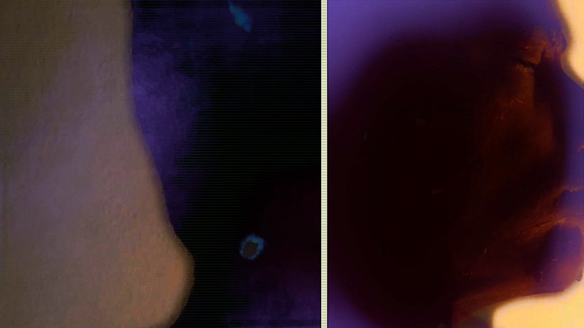 Estados conflictivos 011025-2