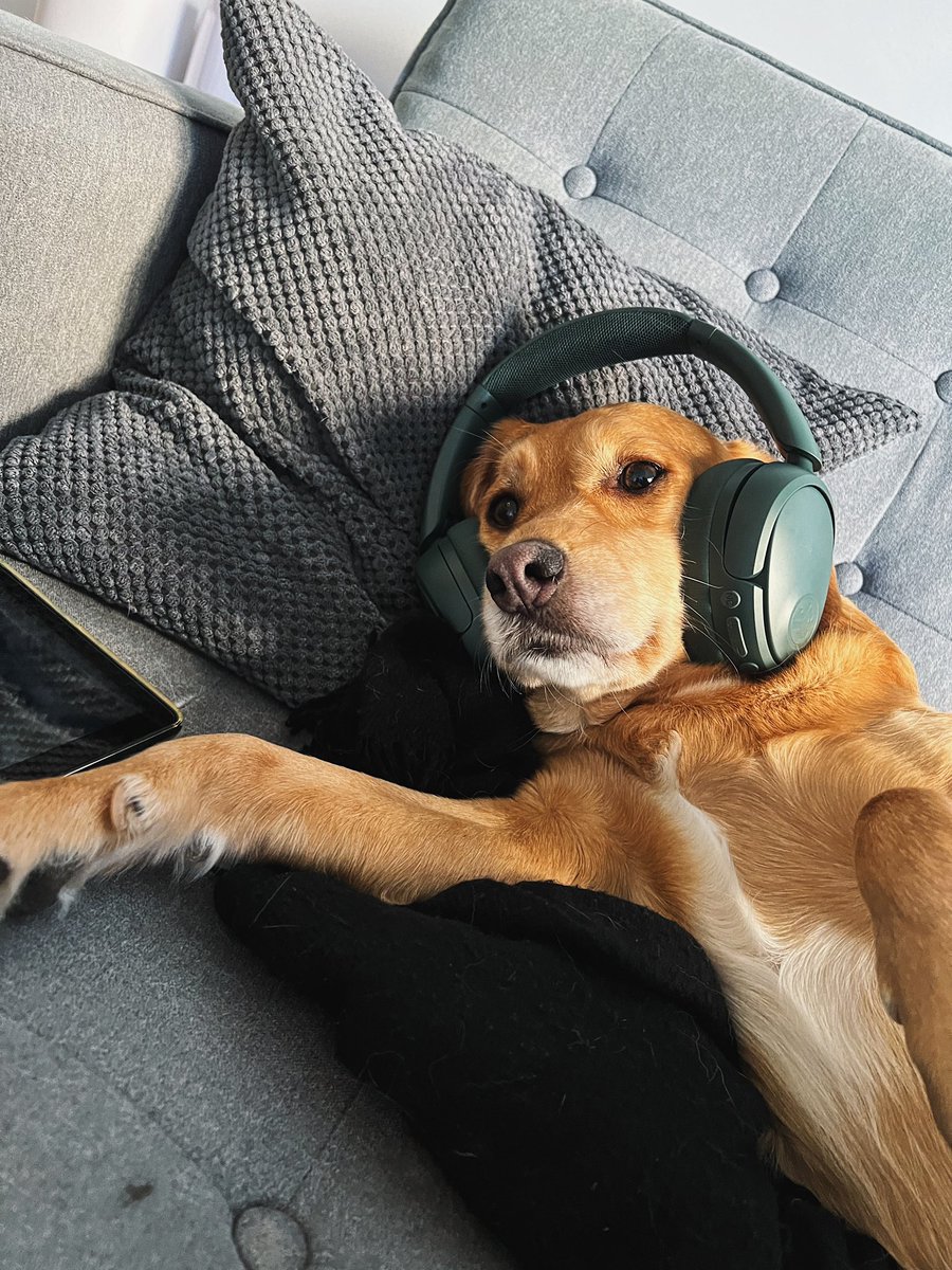 joycedafivetwo's tweet photo. “be sittin’ up in my room” mood all day https://t.co/rjlghqOexR