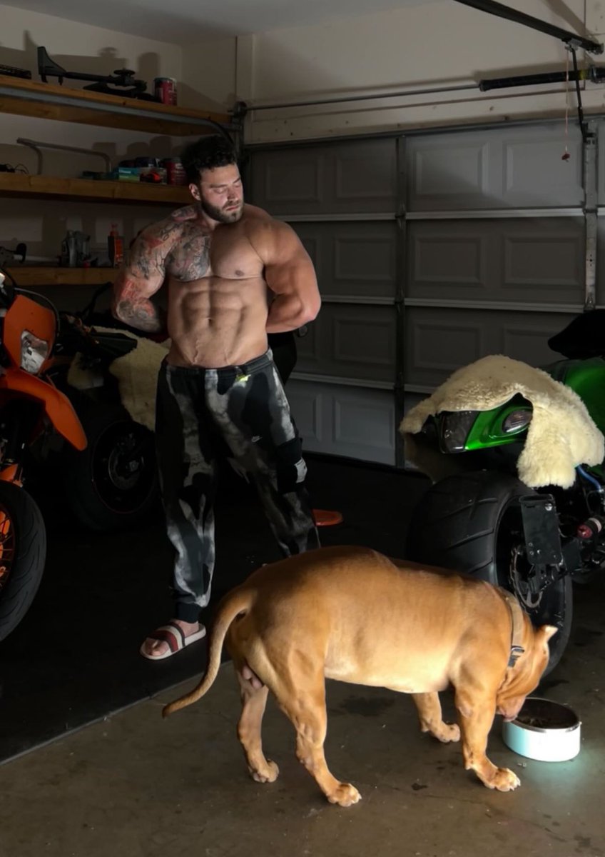 AyWreckless's tweet photo. #Tattoos , #Dogs , and #Bikes is all I need in my life. Unconditional love from the pups and freedom and escape on the #motorcycles . 

New on X , what’s poppin ?

#americanbully #muscle #xlbully https://t.co/eAqCxgCuCg
