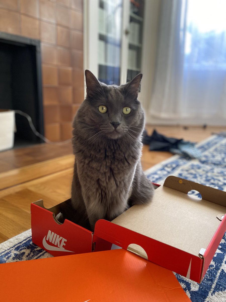 merlin_imaKITTY's tweet photo. umpdate : hab new bramd sponsor , ver offishel , jumst do et https://t.co/2ssd6mRnNq