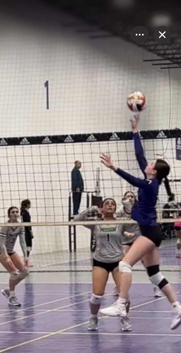 Anthony Isla tweet media