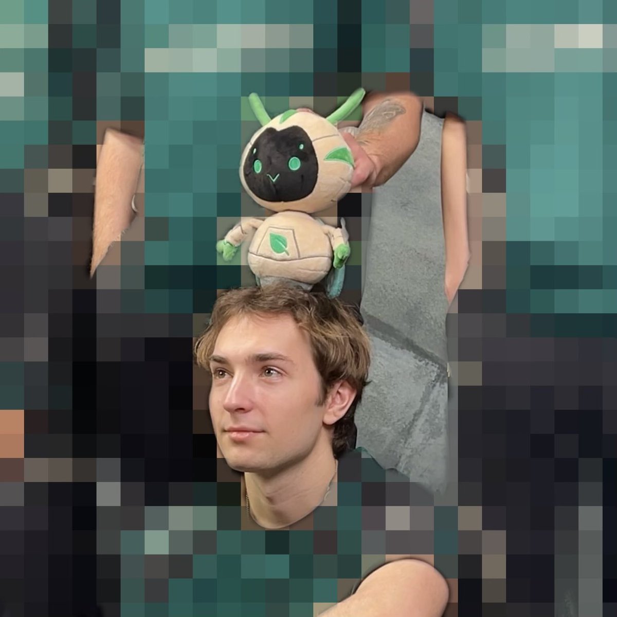 Metamorphosis tweet media