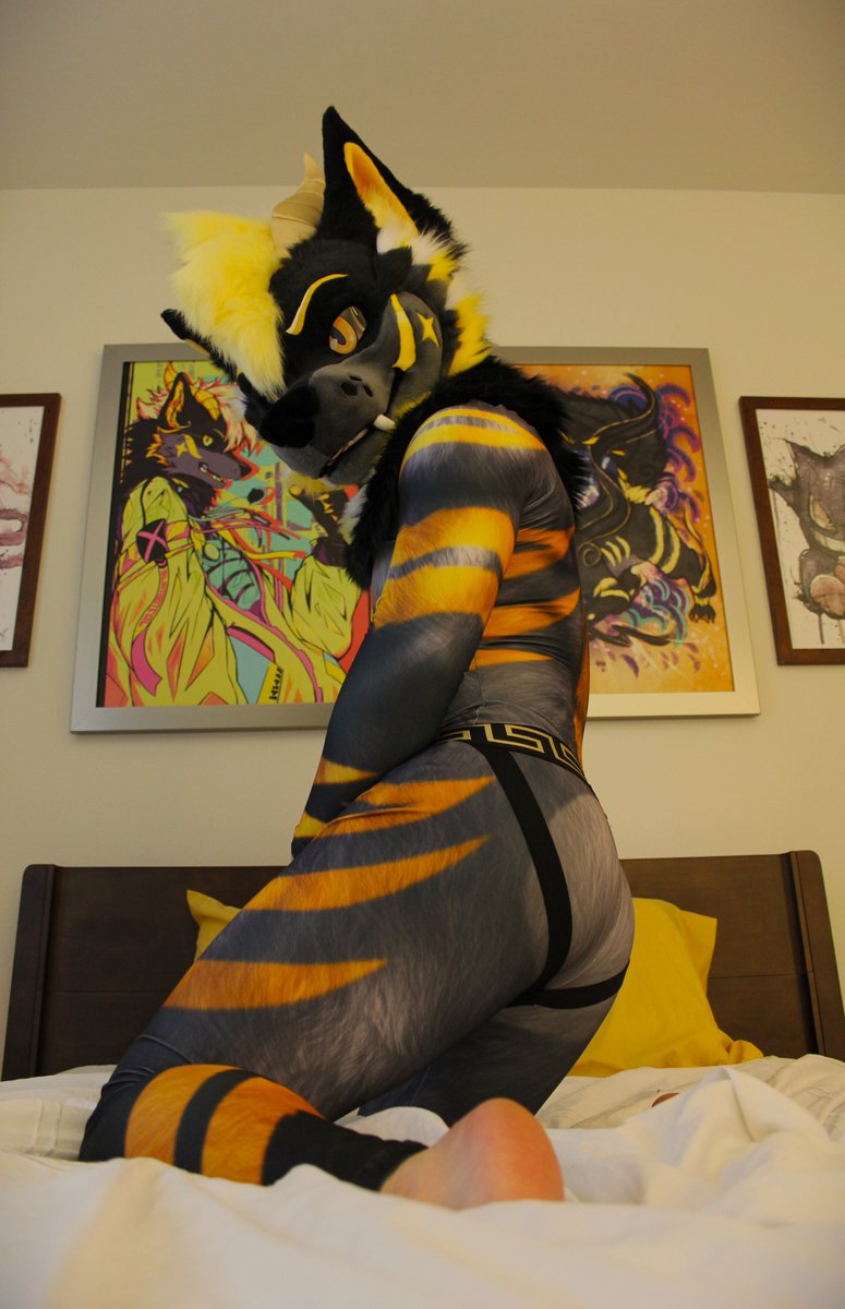 All these squats suck... I hope they are worth it...