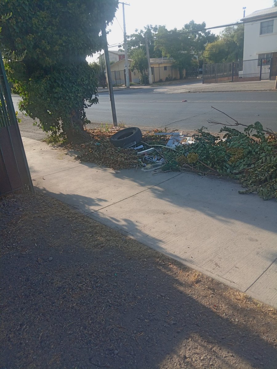 Andresnova78's tweet photo. @aiiglesiasm Me parece excelente. Alcalde, qué se puede hacer respecto a la basura que dejan afuera de mi casa? Esto es en domingo santa maría con 15 norte https://t.co/Lw0B24tV49