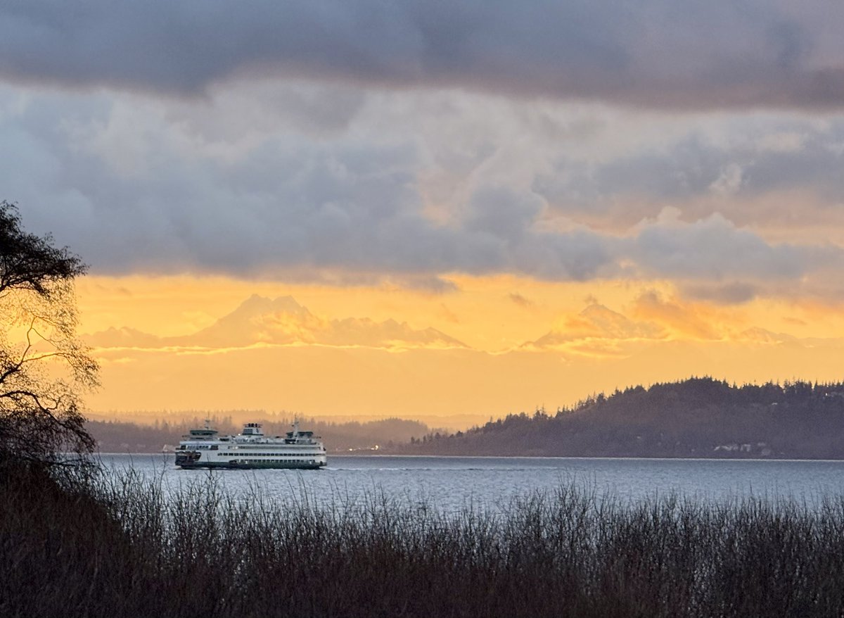 The #Olympics decided to make an appearance