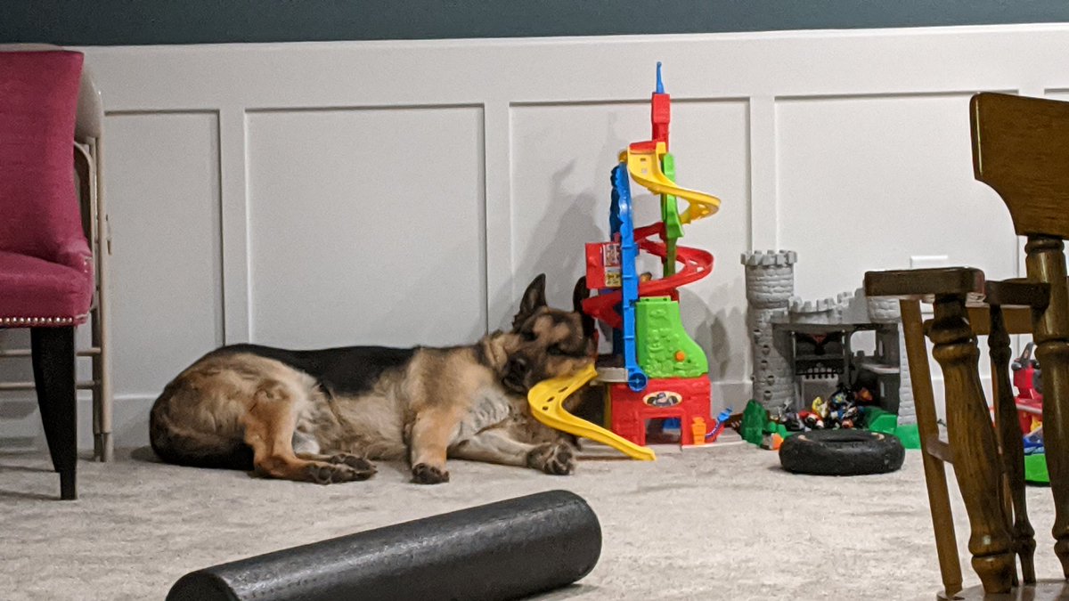 RedStang_Sr tweet media