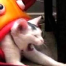 I haven’t been this sick in so long I forgot how much it really just keeps you bed riden