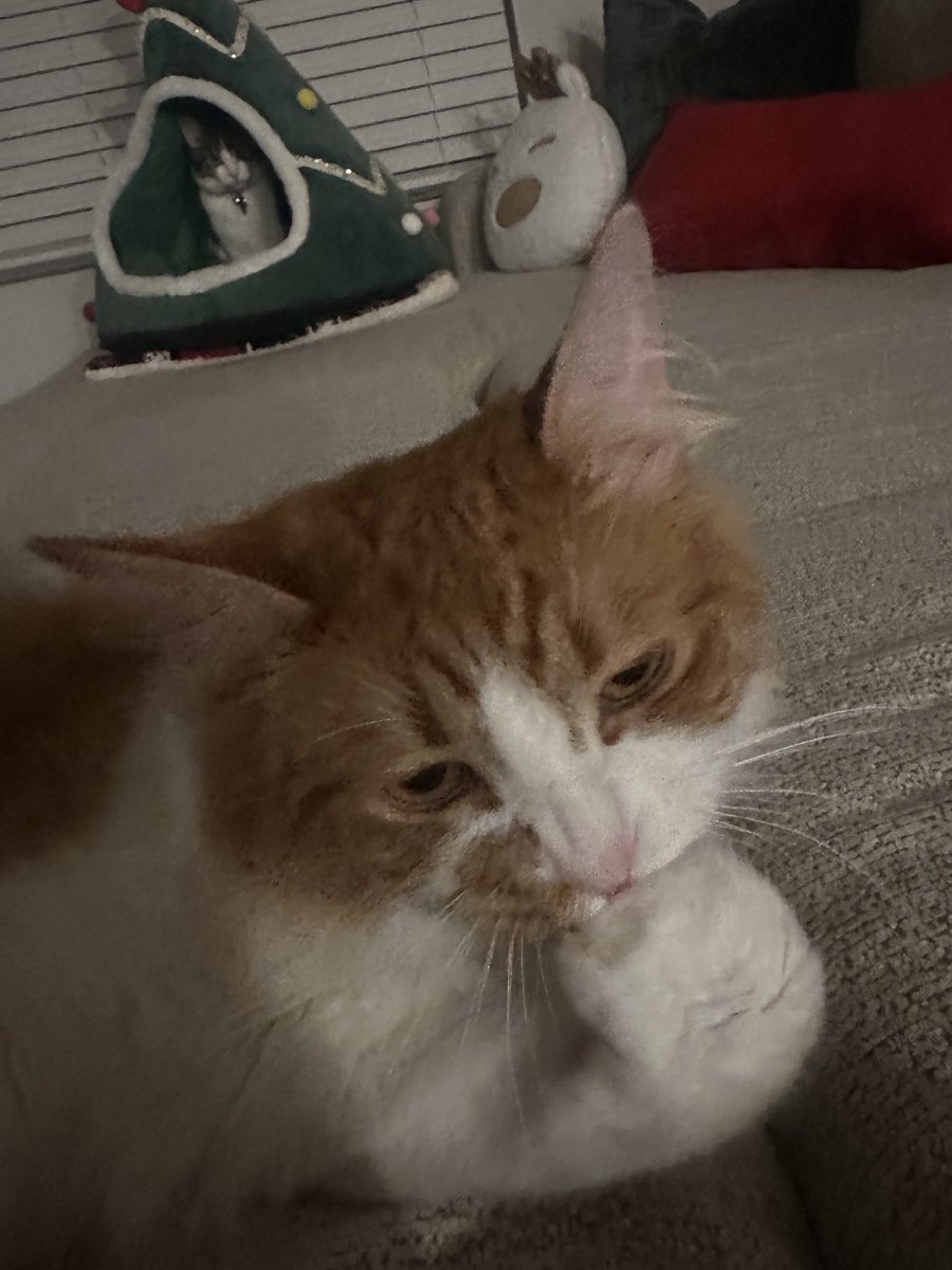 bro is not the thinker