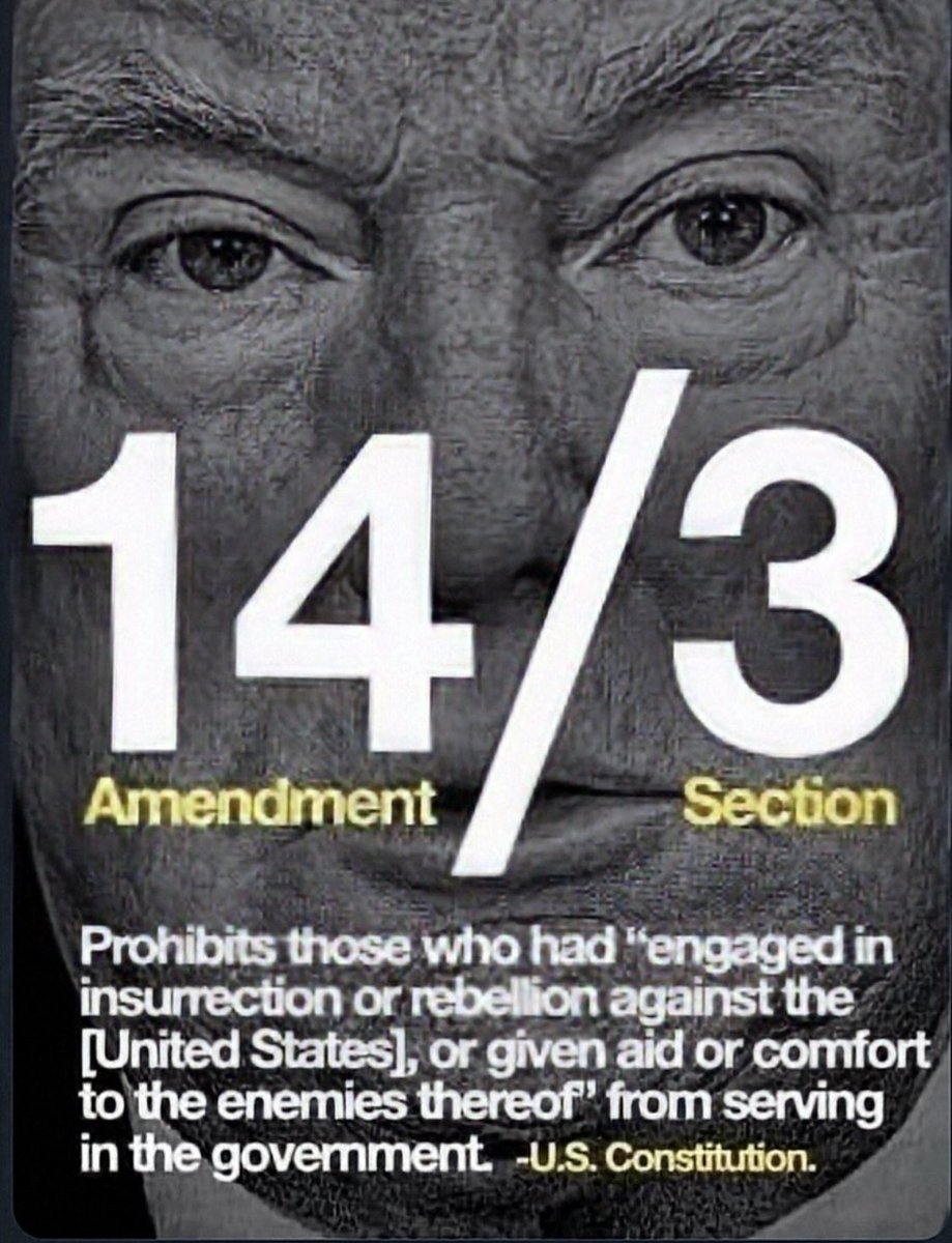 dianeeldredge99's tweet image. If only Congress had the Courage!!! #14thAmendmentSection3