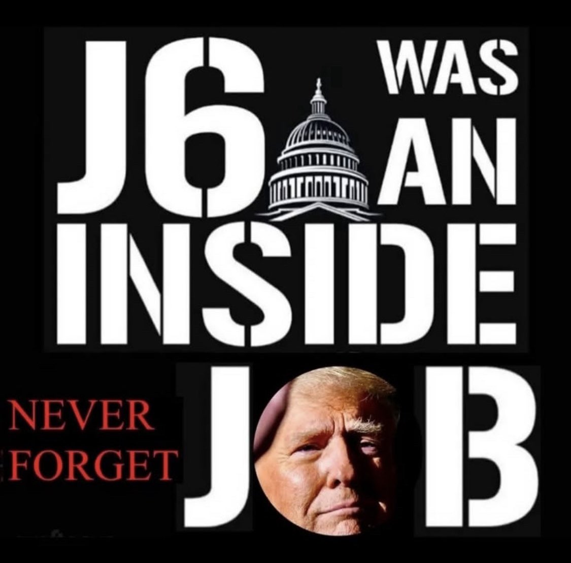 dianeeldredge99's tweet image. If only Congress had the Courage!!! #14thAmendmentSection3