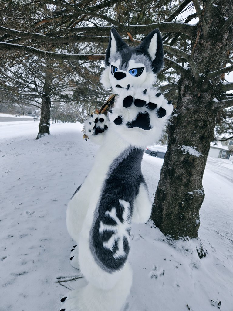 Halt, winter vibes only!