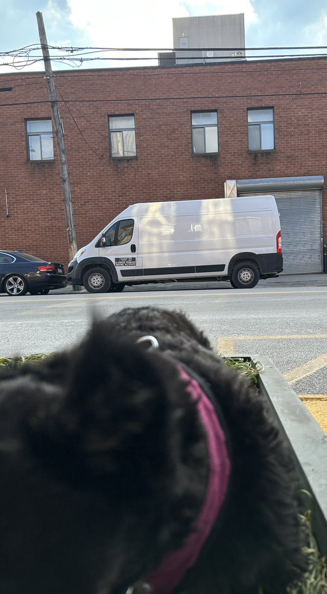 #紅白歌合戦 藤井 風さんの満ちてゆくNew Yorkロケ地行ってきました！(うちのワンコも特別参加で寄せてみたw)

詳細はこちらに
🔗 note.com/ruiruihehn/n/n…

#MichiTeyuKu #Overflowing #FujiiKaze #NewYork