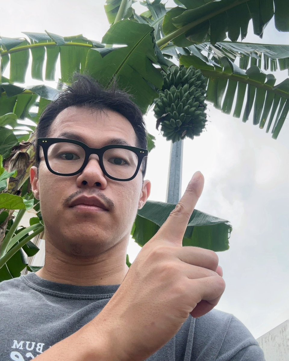 the_rodeoclown_'s tweet photo. Me : Bu, pisang kipasnya satu berapaan?
👩🏻‍🦱 : 8ribu
Me : Hah? Mahal banget
👩🏻‍🦱 : Emang mahal. Kalau mau murah tanam aja sendiri, terus goreng sendiri

Me, several months later : https://t.co/NLF9yOXkJd