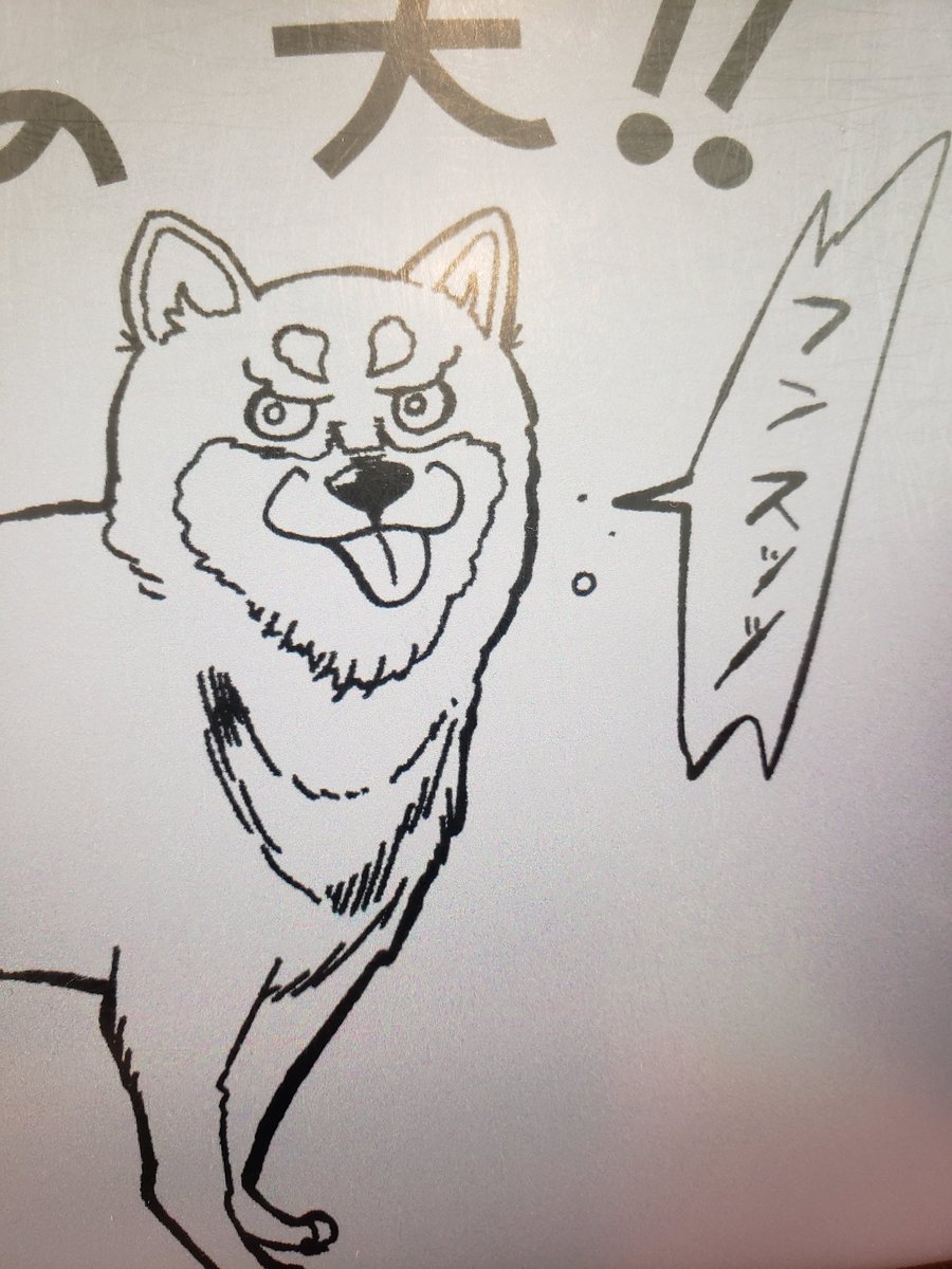 今年は夢が叶う年らしい…!頑張ろう。 