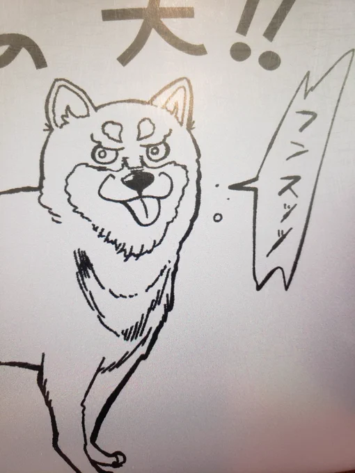 今年は夢が叶う年らしい…!頑張ろう。 